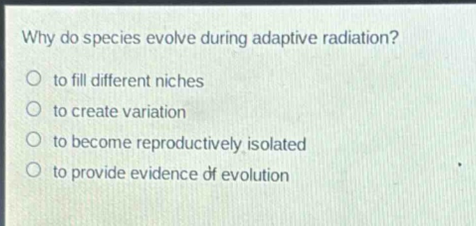 why do species evolve during adaptive radiation?\no to fill different niches\no to create variation\no to become reproductively isolated\no to provide evidence of evolution