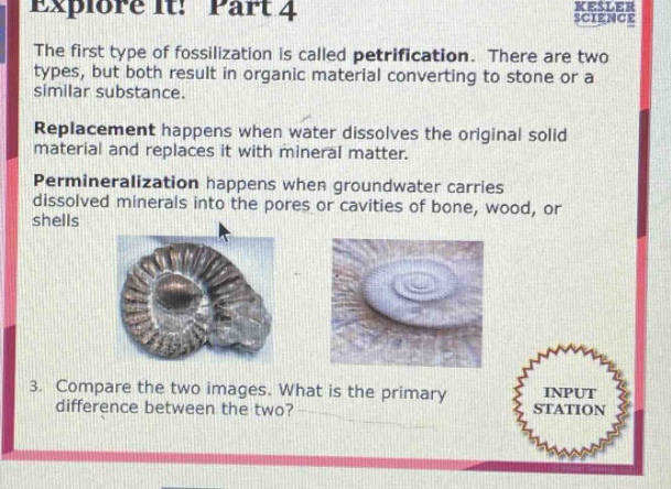 explore it: part 4 the first type of fossilization is called petrification. there are two types, but both result in organic material converting to stone or a similar substance. replacement happens when water dissolves the original solid material and replaces it with mineral matter. permineralization happens when groundwater carries dissolved minerals into the pores or cavities of bone, wood, or shells 3. compare the two images. what is the primary difference between the two? input station