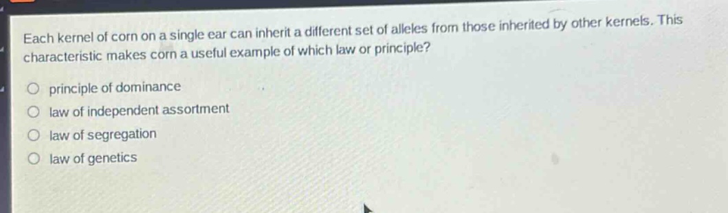 each kernel of corn on a single ear can inherit a different set of alleles from those inherited by other kernels. this characteristic makes corn a useful example of which law or principle?\nprinciple of dominance\nlaw of independent assortment\nlaw of segregation\nlaw of genetics
