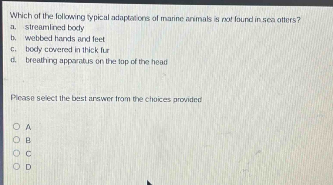 which of the following typical adaptations of marine animals is not found in sea otters? a. streamlined body b. webbed hands and feet c. body covered in thick fur d. breathing apparatus on the top of the head please select the best answer from the choices provided a b c d