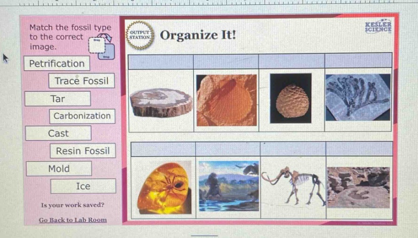 match the fossil type to the correct image. petrification trace fossil tar carbonization cast resin fossil mold ice is your work saved? go back to lab room