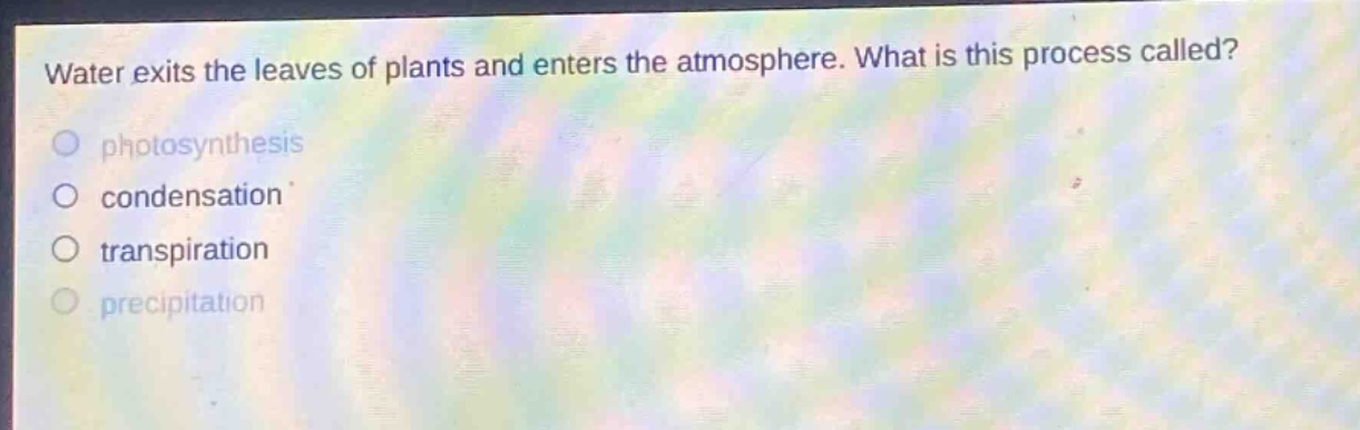water exits the leaves of plants and enters the atmosphere. what is this process called?\nphotosynthesis\ncondensation\ntranspiration\nprecipitation
