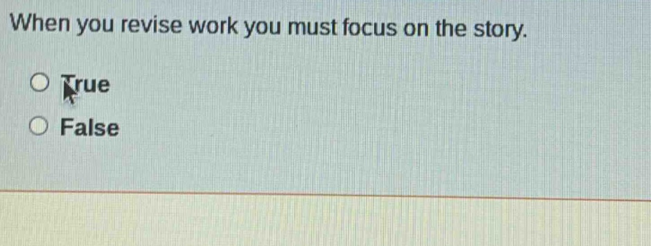 when you revise work you must focus on the story. true false