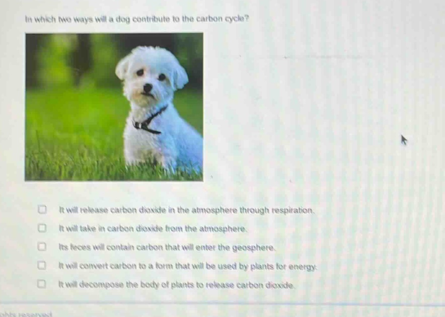 in which two ways will a dog contribute to the carbon cycle? it will release carbon dioxide in the atmosphere through respiration. it will take in carbon dioxide from the atmosphere. its feces will contain carbon that will enter the geosphere. it will convert carbon to a form that will be used by plants for energy. it will decompose the body of plants to release carbon dioxide.