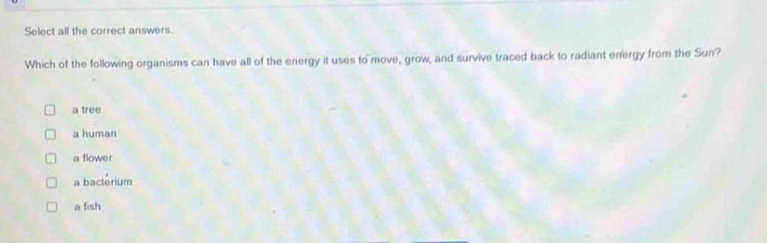 select all the correct answers. which of the following organisms can have all of the energy it uses to move, grow, and survive traced back to radiant energy from the sun? a tree a human a flower a bacterium a fish