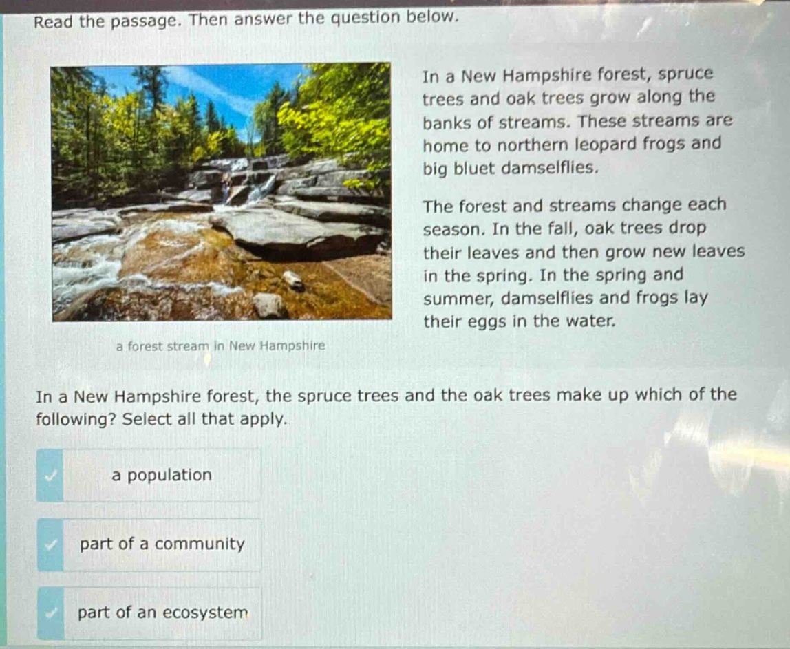 read the passage. then answer the question below. in a new hampshire forest, spruce trees and oak trees grow along the banks of streams. these streams are home to northern leopard frogs and big bluet damselflies. the forest and streams change each season. in the fall, oak trees drop their leaves and then grow new leaves in the spring. in the spring and summer, damselflies and frogs lay their eggs in the water. a forest stream in new hampshire in a new hampshire forest, the spruce trees and the oak trees make up which of the following? select all that apply. a population part of a community part of an ecosystem