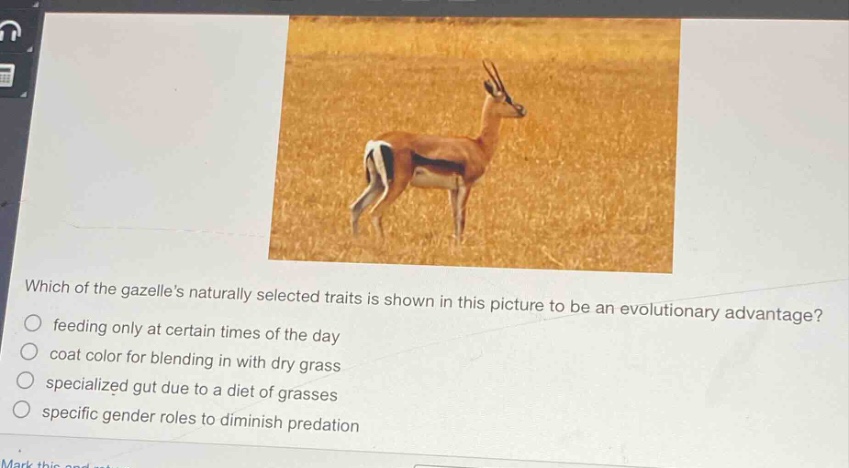 which of the gazelles naturally selected traits is shown in this picture to be an evolutionary advantage?\nfeeding only at certain times of the day\ncoat color for blending in with dry grass\nspecialized gut due to a diet of grasses\nspecific gender roles to diminish predation