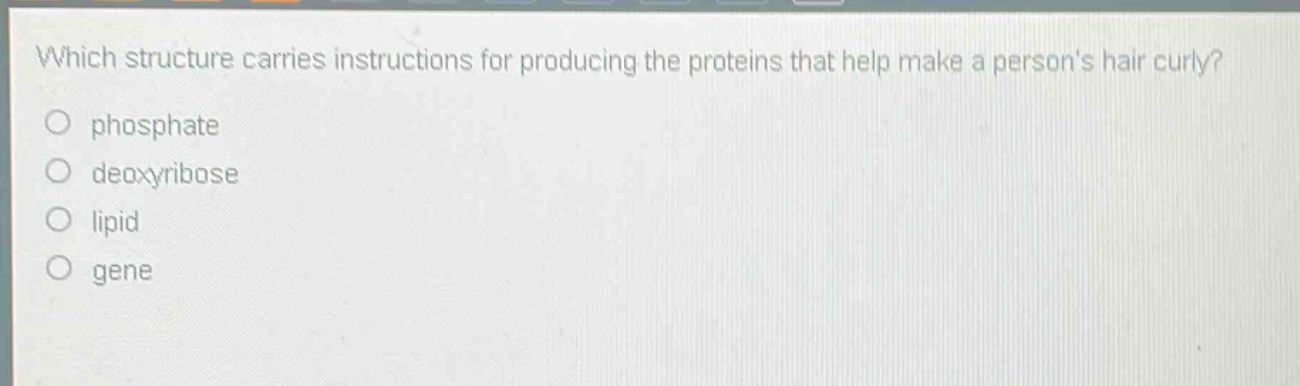 which structure carries instructions for producing the proteins that help make a persons hair curly?\nphosphate\ndeoxyribose\nlipid\ngene