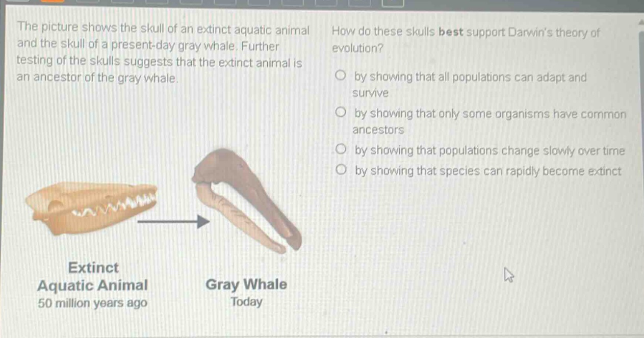 the picture shows the skull of an extinct aquatic animal and the skull of a present - day gray whale. further testing of the skulls suggests that the extinct animal is an ancestor of the gray whale. how do these skulls best support darwins theory of evolution? by showing that all populations can adapt and survive by showing that only some organisms have common ancestors by showing that populations change slowly over time by showing that species can rapidly become extinct extinct aquatic animal 50 million years ago gray whale today