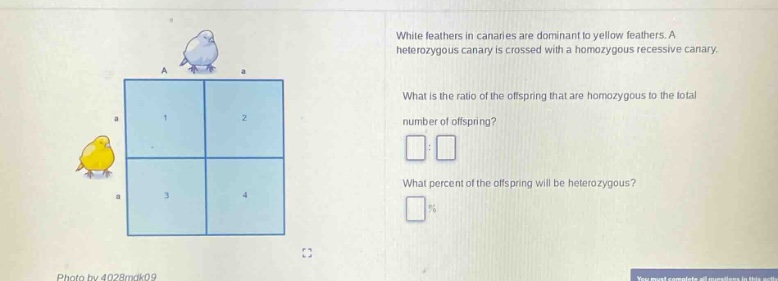 white feathers in canaries are dominant to yellow feathers. a heterozygous canary is crossed with a homozygous recessive canary. what is the ratio of the offspring that are homozygous to the total number of offspring? what percent of the offspring will be heterozygous?