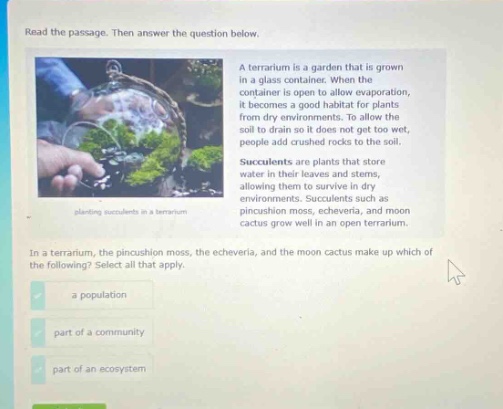 read the passage. then answer the question below. a terrarium is a garden that is grown in a glass container. when the container is open to allow evaporation, it becomes a good habitat for plants from dry environments. to allow the soil to drain so it does not get too wet, people add crushed rocks to the soil. succulents are plants that store water in their leaves and stems, allowing them to survive in dry environments. succulents such as pincushion moss, echeveria, and moon cactus grow well in an open terrarium. in a terrarium, the pincushion moss, the echeveria, and the moon cactus make up which of the following? select all that apply. a population part of a community part of an ecosystem