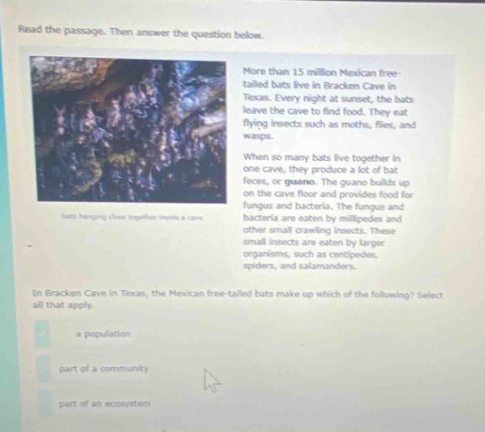 read the passage. then answer the question below. more than 15 million mexican free - tailed bats live in bracken cave in texas. every night at sunset, the bats leave the cave to find food. they eat flying insects such as moths, flies, and wasps. when so many bats live together in one cave, they produce a lot of bat feces, or guano. the guano builds up on the cave floor and provides food for fungus and bacteria. the fungus and bacteria are eaten by millipedes and other small crawling insects. these small insects are eaten by larger organisms, such as centipedes, spiders, and salamanders. in bracken cave in texas, the mexican free - tailed bats make up which of the following? select all that apply. a population part of a community part of an ecosystem