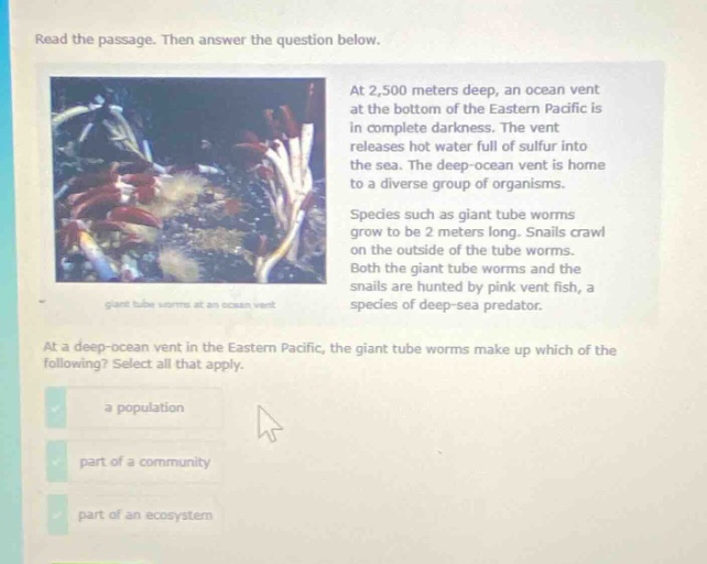 read the passage. then answer the question below. at 2,500 meters deep, an ocean vent at the bottom of the eastern pacific is in complete darkness. the vent releases hot water full of sulfur into the sea. the deep - ocean vent is home to a diverse group of organisms. species such as giant tube worms grow to be 2 meters long. snails crawl on the outside of the tube worms. both the giant tube worms and the snails are hunted by pink vent fish, a species of deep - sea predator. at a deep - ocean vent in the eastern pacific, the giant tube worms make up which of the following? select all that apply. a population part of a community part of an ecosystem