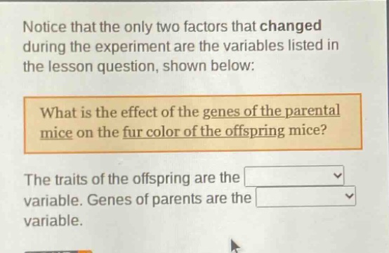 notice that the only two factors that changed during the experiment are the variables listed in the lesson question, shown below: what is the effect of the genes of the parental mice on the fur color of the offspring mice? the traits of the offspring are the variable. genes of parents are the variable.