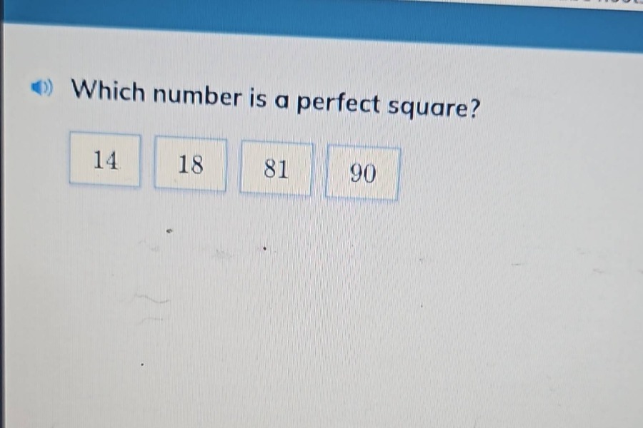 which number is a perfect square? 14 18 81 90