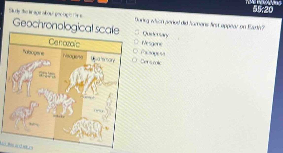study the image about geologic time. geochronological scale during which period did humans first appear on earth? quaternary neogene paleogene cenozoic