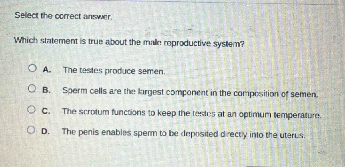 select the correct answer. which statement is true about the male reproductive system? a. the testes produce semen. b. sperm cells are the largest component in the composition of semen. c. the scrotum functions to keep the testes at an optimum temperature. d. the penis enables sperm to be deposited directly into the uterus.