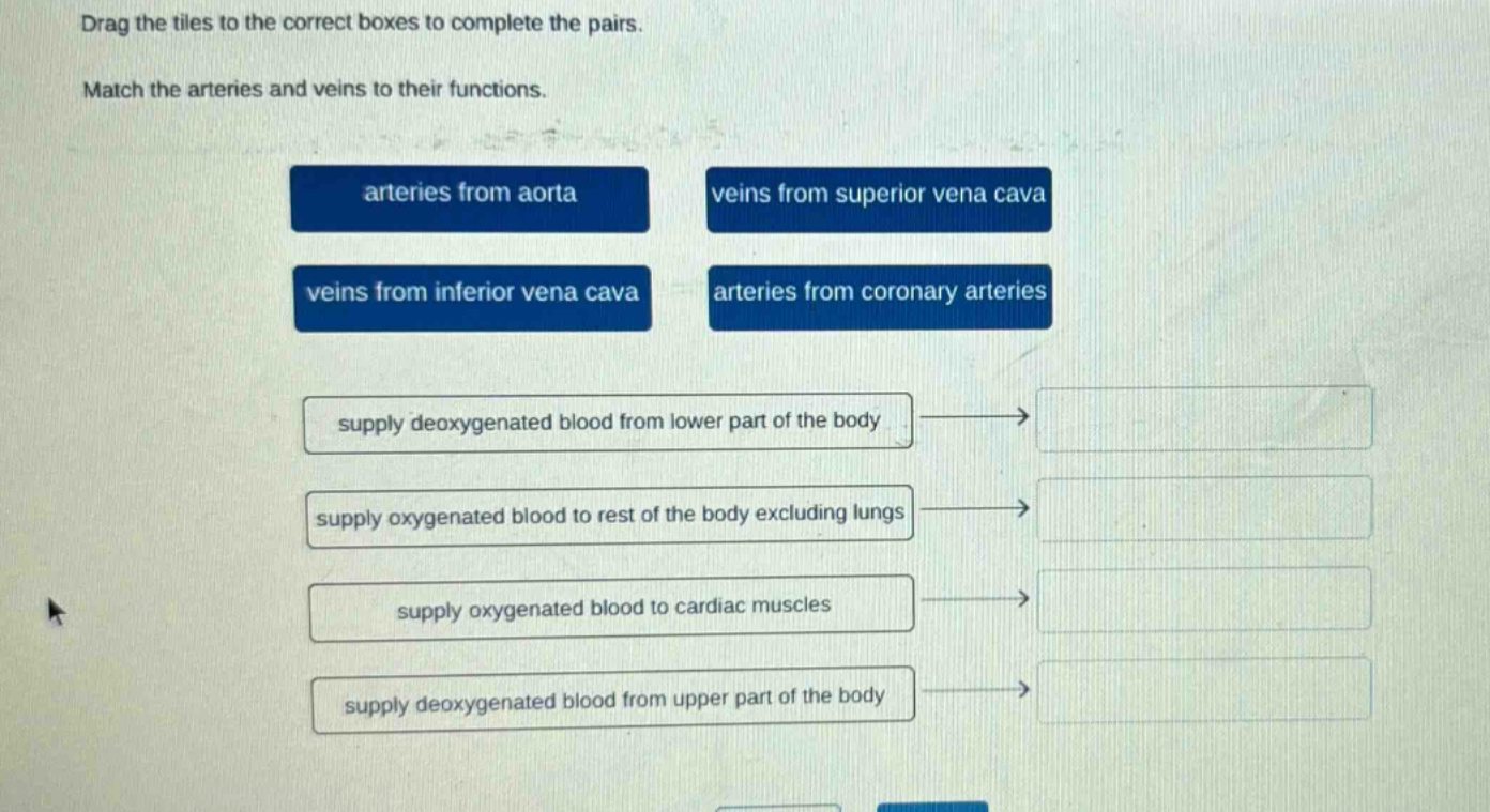 drag the tiles to the correct boxes to complete the pairs. match the arteries and veins to their functions. arteries from aorta veins from superior vena cava veins from inferior vena cava arteries from coronary arteries supply deoxygenated blood from lower part of the body supply oxygenated blood to rest of the body excluding lungs supply oxygenated blood to cardiac muscles supply deoxygenated blood from upper part of the body