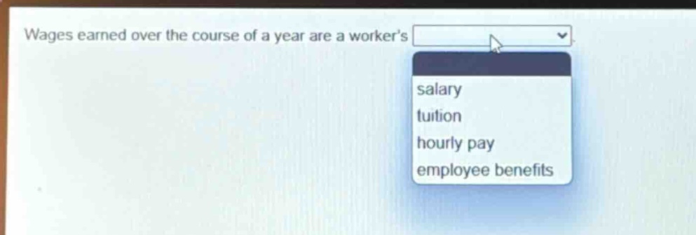 wages earned over the course of a year are a workers salary tuition hourly pay employee benefits