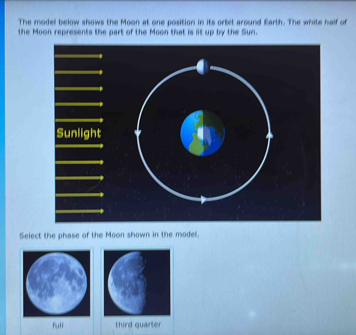 the model below shows the moon at one position in its orbit around earth. the white half of the moon represents the part of the moon that is lit up by the sun. select the phase of the moon shown in the model. full third quarter