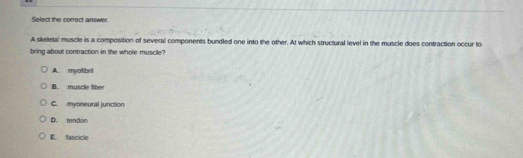 select the correct answer. a skeletal muscle is a composition of several components bundled one into the other. at which structural level in the muscle does contraction occur to bring about contraction in the whole muscle? a. myofibril b. muscle fiber c. myoneural junction d. tendon e. fascicle