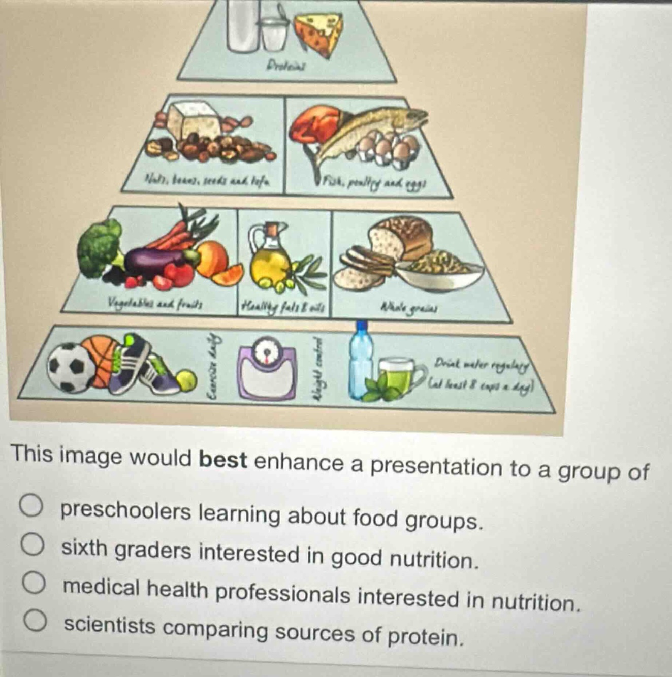 this image would best enhance a presentation to a group of\npreschoolers learning about food groups.\nsixth graders interested in good nutrition.\nmedical health professionals interested in nutrition.\nscientists comparing sources of protein.
