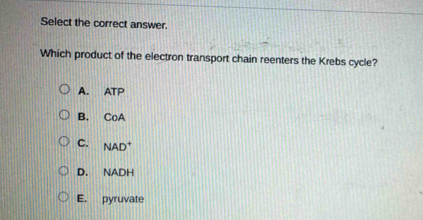 select the correct answer. which product of the electron transport chain reenters the krebs cycle? a. atp b. coa c. nad+ d. nadh e. pyruvate