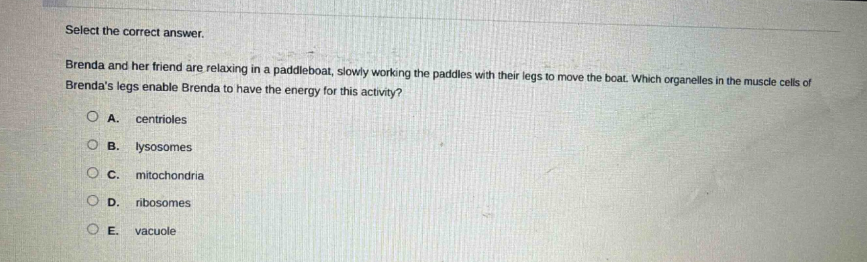 select the correct answer. brenda and her friend are relaxing in a paddleboat, slowly working the paddles with their legs to move the boat. which organelles in the muscle cells of brendas legs enable brenda to have the energy for this activity? a. centrioles b. lysosomes c. mitochondria d. ribosomes e. vacuole
