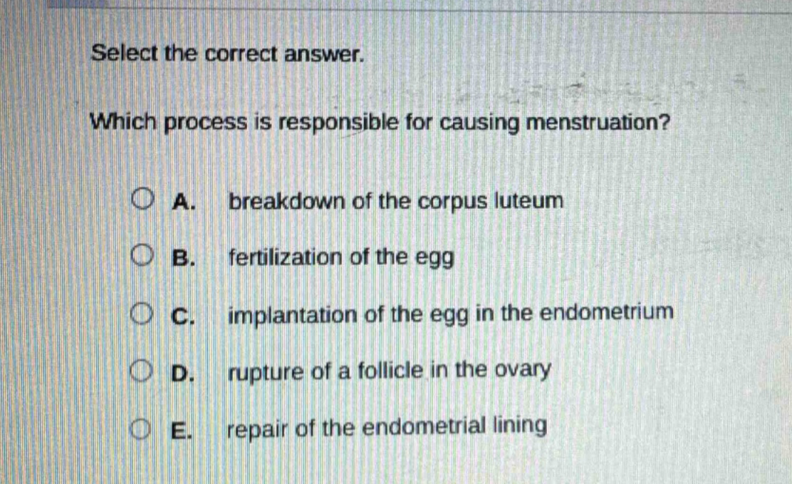 select the correct answer. which process is responsible for causing menstruation? a. breakdown of the corpus luteum b. fertilization of the egg c. implantation of the egg in the endometrium d. rupture of a follicle in the ovary e. repair of the endometrial lining