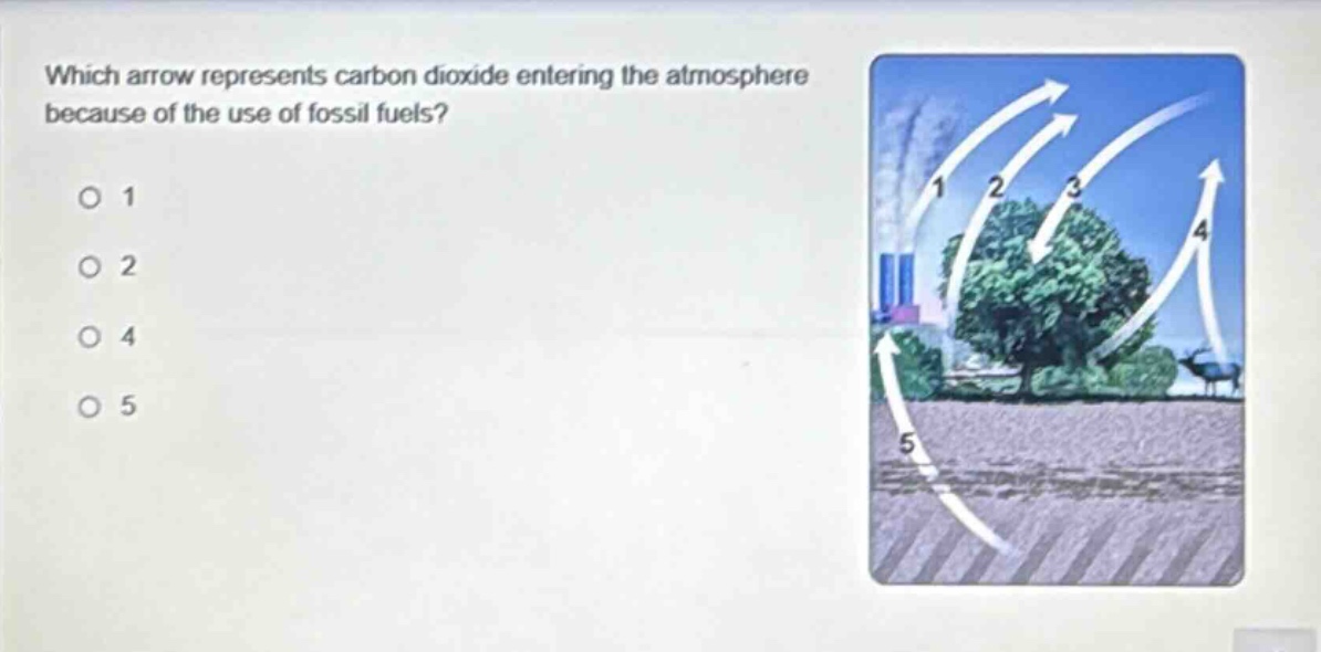 which arrow represents carbon dioxide entering the atmosphere because of the use of fossil fuels?\no 1\no 2\no 4\no 5