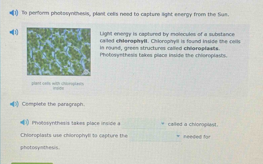 to perform photosynthesis, plant cells need to capture light energy from the sun. light energy is captured by molecules of a substance called chlorophyll. chlorophyll is found inside the cells in round, green structures called chloroplasts. photosynthesis takes place inside the chloroplasts. plant cells with chloroplasts inside complete the paragraph. photosynthesis takes place inside a called a chloroplast. chloroplasts use chlorophyll to capture the needed for photosynthesis.