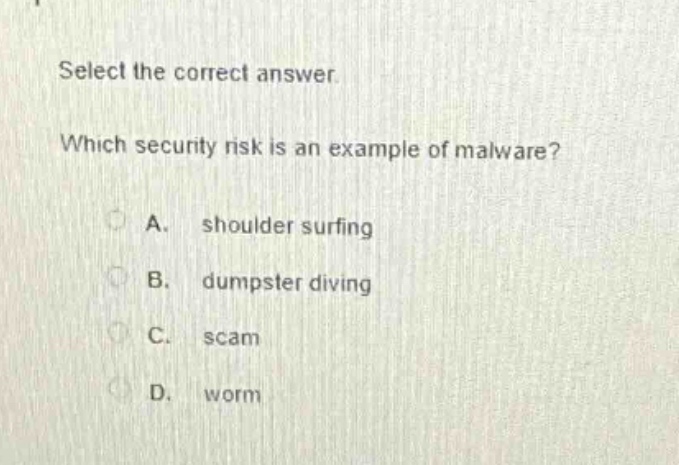 select the correct answer. which security risk is an example of malware? a. shoulder surfing b. dumpster diving c. scam d. worm