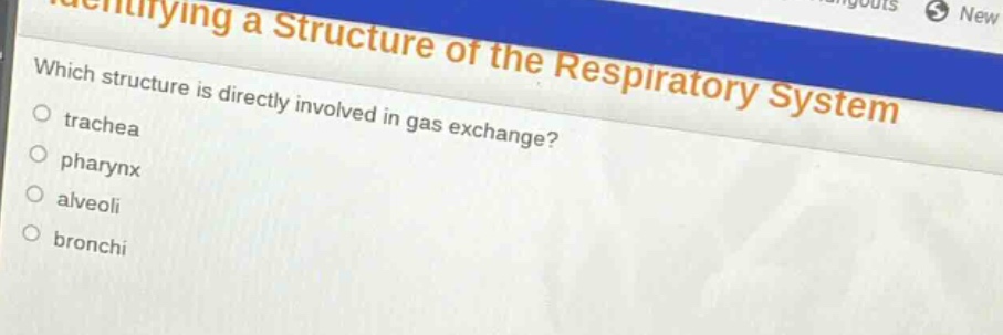 which structure is directly involved in gas exchange?\ntrachea\npharynx\nalveoli\nbronchi