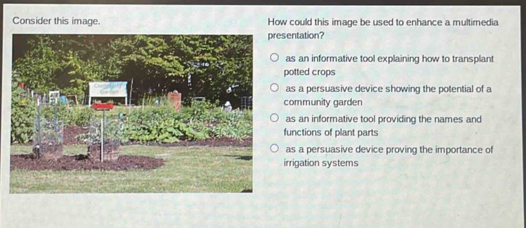 consider this image. how could this image be used to enhance a multimedia presentation? as an informative tool explaining how to transplant potted crops as a persuasive device showing the potential of a community garden as an informative tool providing the names and functions of plant parts as a persuasive device proving the importance of irrigation systems