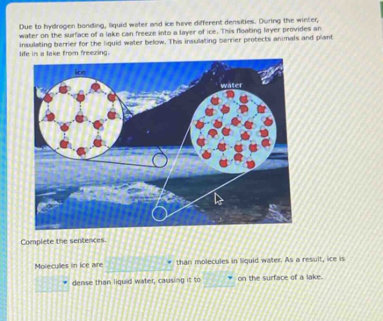 due to hydrogen bonding, liquid water and ice have different densities. during the winter, water on the surface of a lake can freeze into a layer of ice. this floating layer provides an insulating barrier for the liquid water below. this insulating barrier protects animals and plant life in a lake from freezing. complete the sentences. molecules in ice are than molecules in liquid water. as a result, ice is dense than liquid water, causing it to on the surface of a lake.