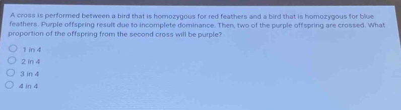 a cross is performed between a bird that is homozygous for red feathers and a bird that is homozygous for blue feathers. purple offspring result due to incomplete dominance. then, two of the purple offspring are crossed. what proportion of the offspring from the second cross will be purple? 1 in 4 2 in 4 3 in 4 4 in 4