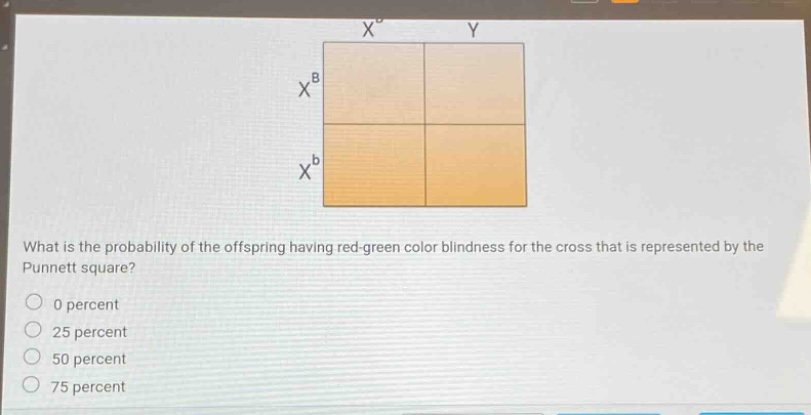 what is the probability of the offspring having red - green color blindness for the cross that is represented by the punnett square?\n0 percent\n25 percent\n50 percent\n75 percent