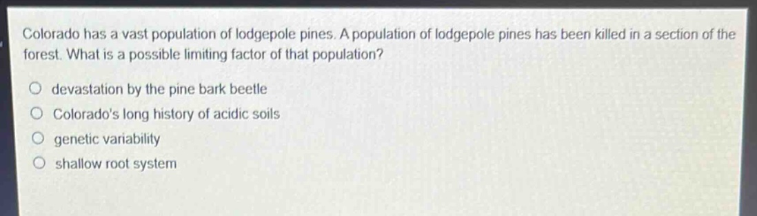 colorado has a vast population of lodgepole pines. a population of lodgepole pines has been killed in a section of the forest. what is a possible limiting factor of that population?\n\ndevastation by the pine bark beetle\n\ncolorados long history of acidic soils\n\ngenetic variability\n\nshallow root system