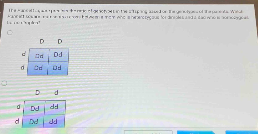 the punnett square predicts the ratio of genotypes in the offspring based on the genotypes of the parents. which punnett square represents a cross between a mom who is heterozygous for dimples and a dad who is homozygous for no dimples?