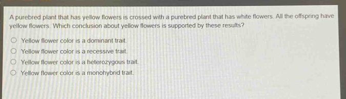 a purebred plant that has yellow flowers is crossed with a purebred plant that has white flowers. all the offspring have yellow flowers. which conclusion about yellow flowers is supported by these results?\nyellow flower color is a dominant trait.\nyellow flower color is a recessive trait.\nyellow flower color is a heterozygous trait.\nyellow flower color is a monohybrid trait.
