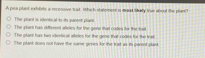 a pea plant exhibits a recessive trait. which statement is most likely true about the plant? the plant is identical to its parent plant. the plant has different alleles for the gene that codes for the trait. the plant has two identical alleles for the gene that codes for the trait. the plant does not have the same genes for the trait as its parent plant.