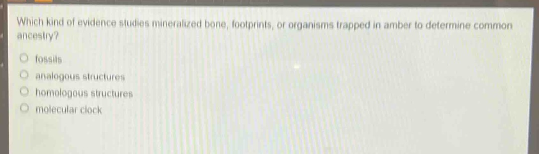 which kind of evidence studies mineralized bone, footprints, or organisms trapped in amber to determine common ancestry?\no fossils\no analogous structures\no homologous structures\no molecular clock
