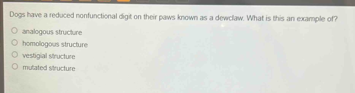 dogs have a reduced nonfunctional digit on their paws known as a dewclaw. what is this an example of?\nanalogous structure\nhomologous structure\nvestigial structure\nmutated structure