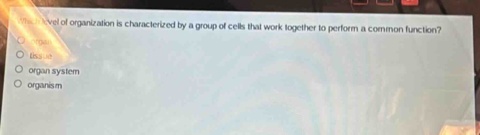which level of organization is characterized by a group of cells that work together to perform a common function?\norgan\ntissue\norgan system\norganism