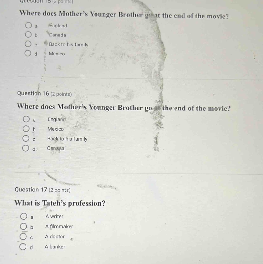 question 15 (2 points) where does mother’s younger brother go at the end of the movie? a england b canada c back to his family d mexico question 16 (2 points) where does mother’s younger brother go at the end of the movie? a england b mexico c back to his family d canada question 17 (2 points) what is tateh’s profession? a a writer b a filmmaker c a doctor d a banker
