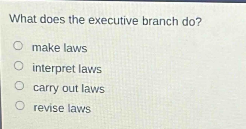 what does the executive branch do?\nmake laws\ninterpret laws\ncarry out laws\nrevise laws