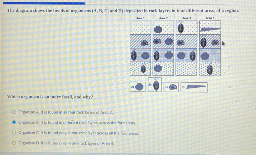 the diagram shows the fossils of organisms (a, b, c, and d) deposited in rock layers in four different areas of a region. which organism is an index fossil, and why? organism a. it is found in all four rock layers of area 2. organism b. it is found in different rock layers across the four areas. organism c. it is found only in one rock layer across all the four areas. organism d. it is found only in one rock layer of area 4.