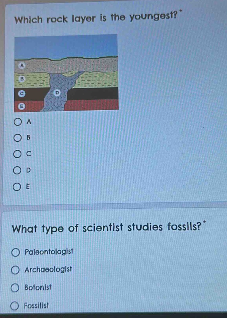which rock layer is the youngest? what type of scientist studies fossils? paleontologist archaeologist botonist fossillist