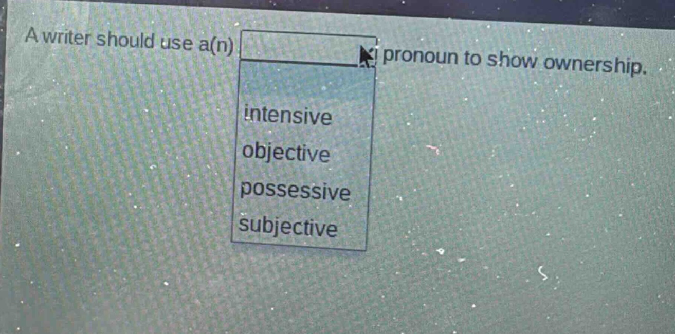 a writer should use a(n) pronoun to show ownership. intensive objective possessive subjective