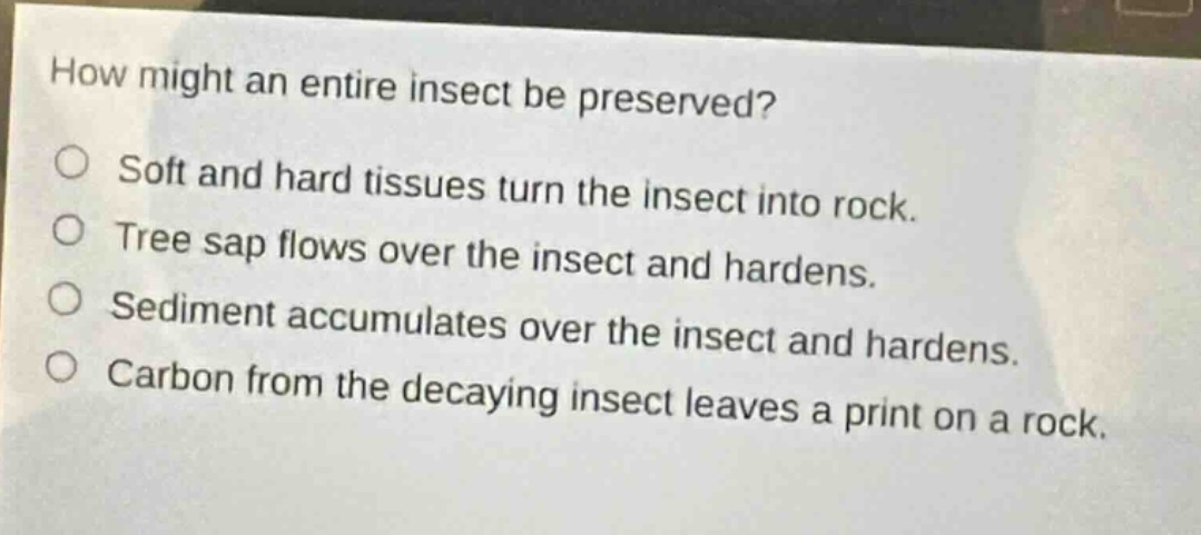 how might an entire insect be preserved? soft and hard tissues turn the insect into rock. tree sap flows over the insect and hardens. sediment accumulates over the insect and hardens. carbon from the decaying insect leaves a print on a rock.